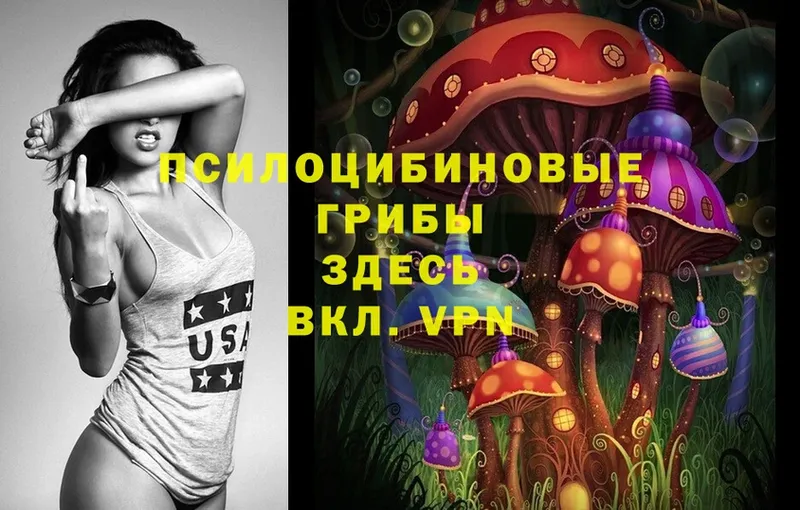 ссылка на мегу ссылка  Асино  Галлюциногенные грибы Psilocybine cubensis 